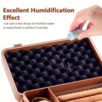 Humidor für kubanische Zigarren