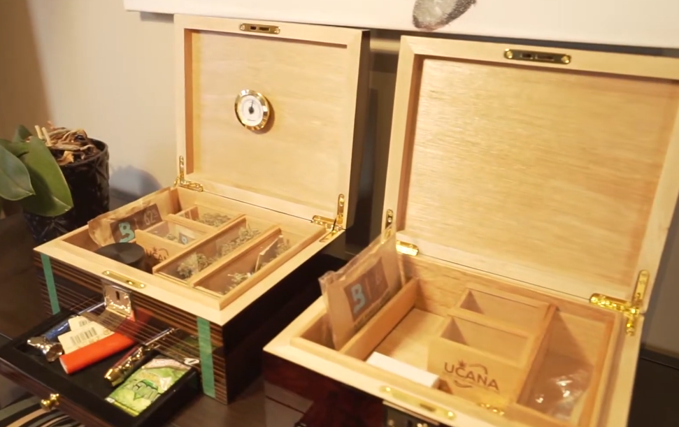 Cannabis Humidors