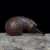 O1CN01K7VtAk2GtwuH8aGQ1_2119809074-1-50x50.webp