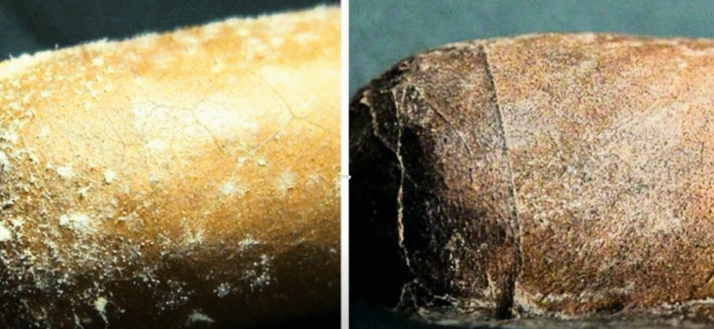 image 16 wie lange halten zigarren ohne humidor