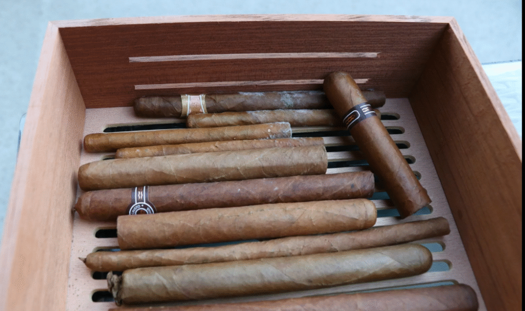 image 27 schimmel im humidor was tun ? Die ultimative Schritt-für-Schritt-Anleitung 2025.