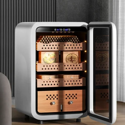 humidor schrank schweiz