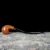 O1CN01je7uZe2GtwmFm7kgf_2119809074-50x50.webp