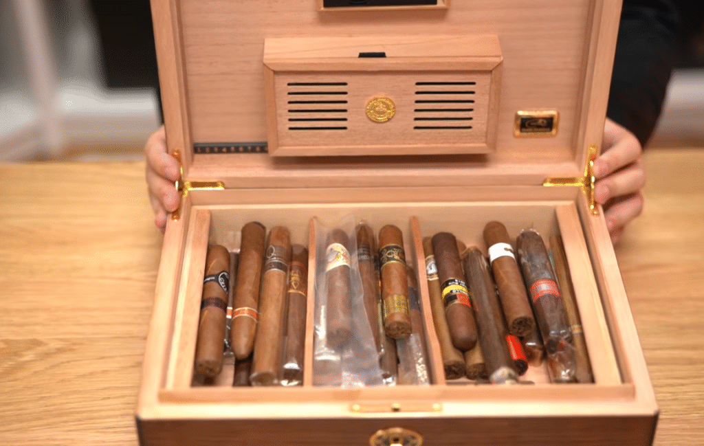 wo kaufe ich einen guten humidor