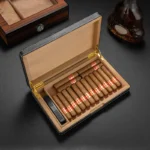 Reisehumidor 10 Zigarren