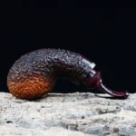 Handgefertigte, mit Sea-Rock-Textur geschnitzte Apple-Pfeife – Bild 3