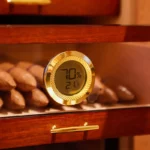 Humidor Schrank Glastür, Seitenansicht